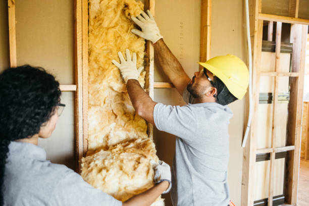 Best Insulation Inspection Services  in Brooksi, DE