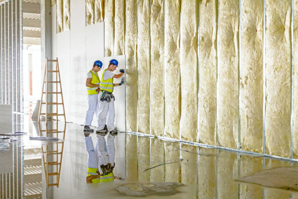 Insulation Inspection Services in Brookside, DE